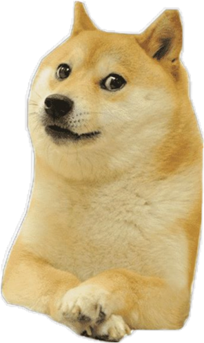 DOGE